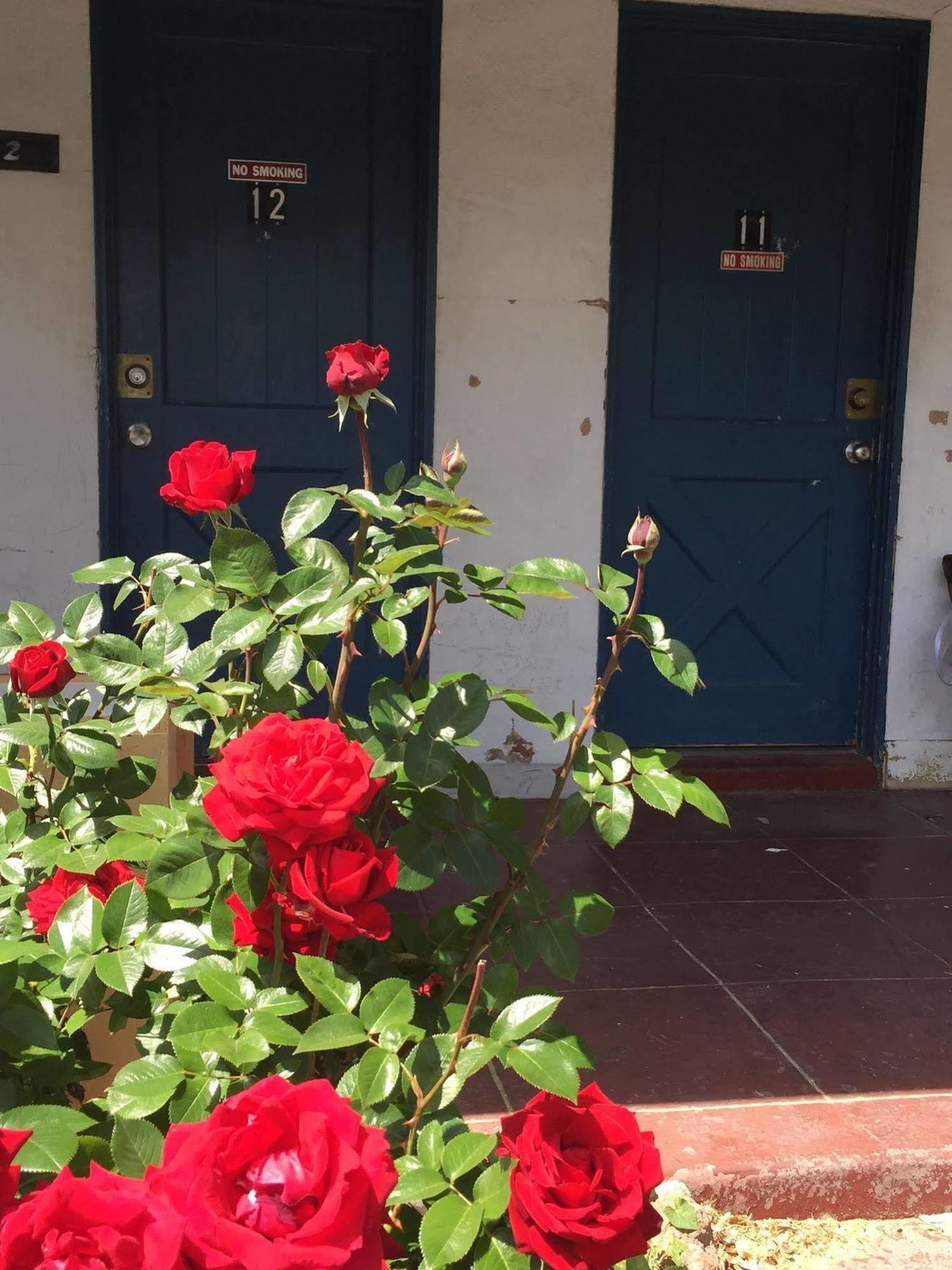 Townhouse Motel Bishop Esterno foto